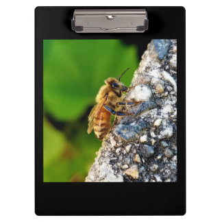 Honey Bee Clipboard Klemmbrett