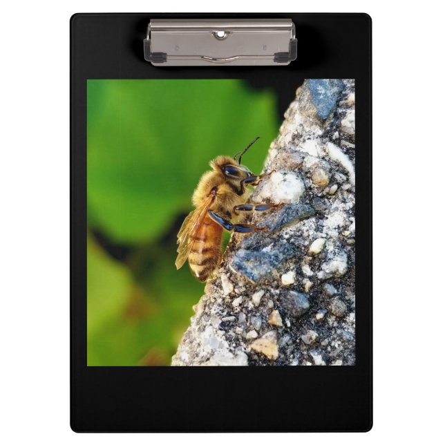 Honey Bee Clipboard Klemmbrett (Vorderseite)