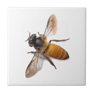 Honey Bee Fliese