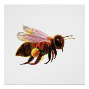 Honey Bee Flying Poster