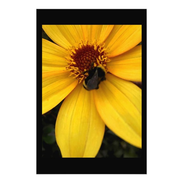 Honey bee  fotodruck (Vorne)