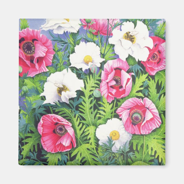 Honey Bee Honey Bee Magnet (Vorne)