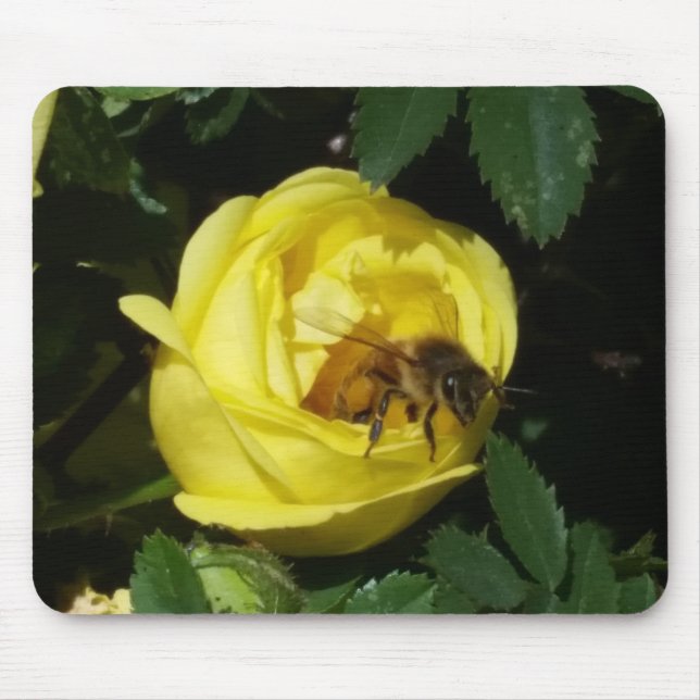 Honey Bee Inside Yellow Rose Bud Mousepad (Vorne)