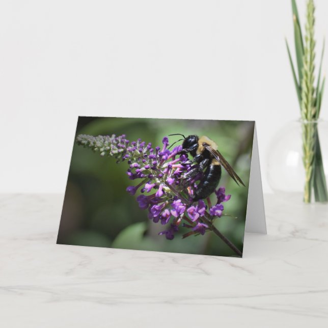 Honey Bee, Karte (Vorderseite)