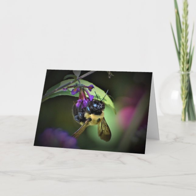 Honey Bee, Karte (Vorderseite)