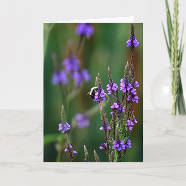 Honey Bee Karte (Vorderseite)