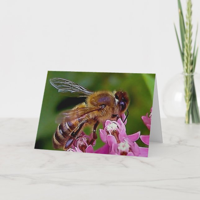 Honey Bee Karte (Vorderseite)