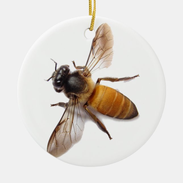 Honey Bee Keramikornament (Vorne)