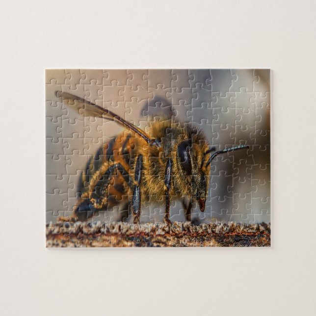 Honey Bee Liebe Puzzle (Horizontal)