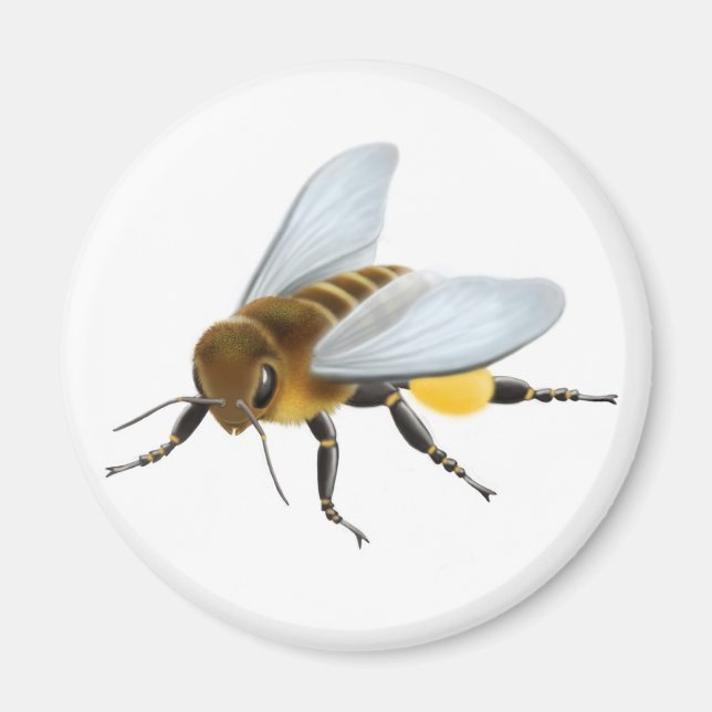Honey Bee Magnet (Vorne)
