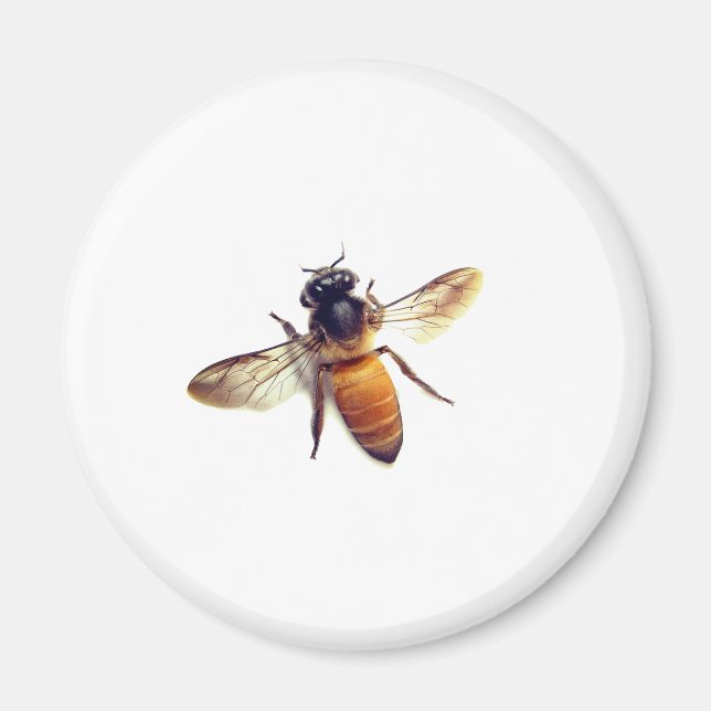 Honey Bee Magnet (Vorne)