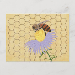 Honey bee on flower honeycomb background postcards postkarte