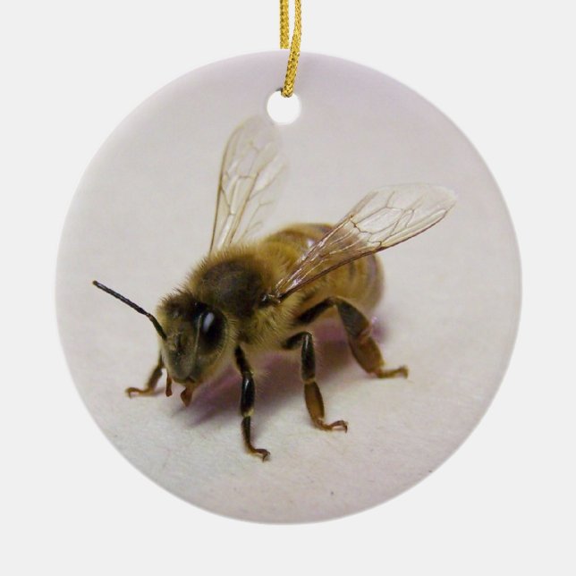 Honey Bee Ornament (Vorne)