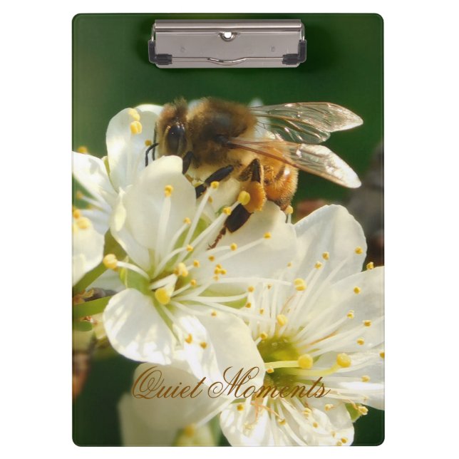 Honey Bee Plum Blossom Nature Study Clipboard Klemmbrett (Vorderseite)