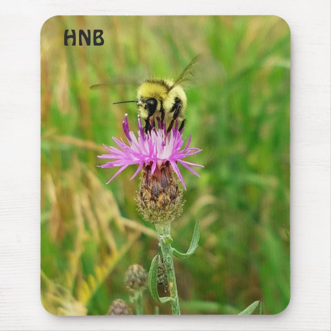 Honey Bee Pollinating Lila Blume Blossom Mousepad (Vorne)