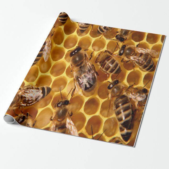 Honey Bee Print Geschenkpapier (Ungerollt)