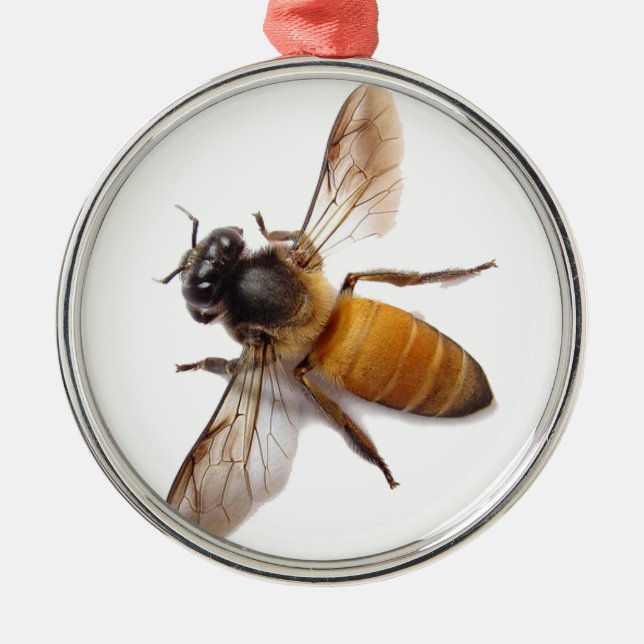 Honey Bee Silbernes Ornament (Vorne)
