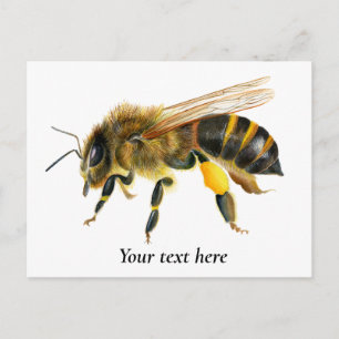 Honey Bee Watercolor Malerei Postkarte