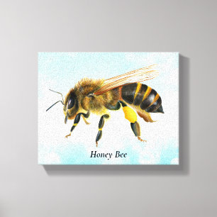 Honey Bee Watercolor Stretched Canvas Print Leinwanddruck