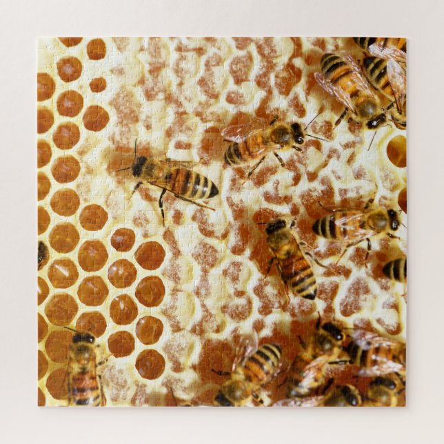 HONEY BEES 2 PUZZLE (Vertikal)