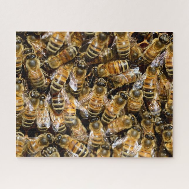 Honey Bees Foto Puzzle (Horizontal)