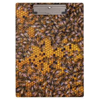 HONEY BEES KLEMMBRETT