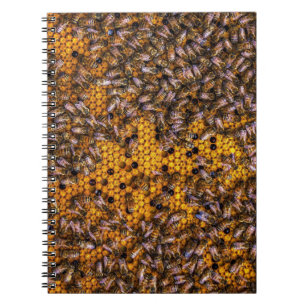 HONEY BEES NOTIZBLOCK