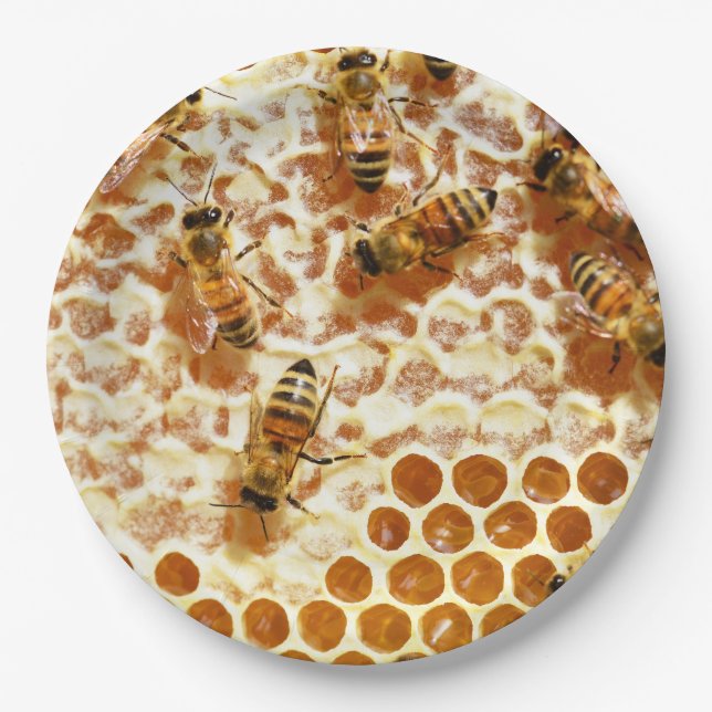 HONEY BEES PAPPTELLER (Vorderseite)