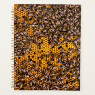 HONEY BEES PLANER