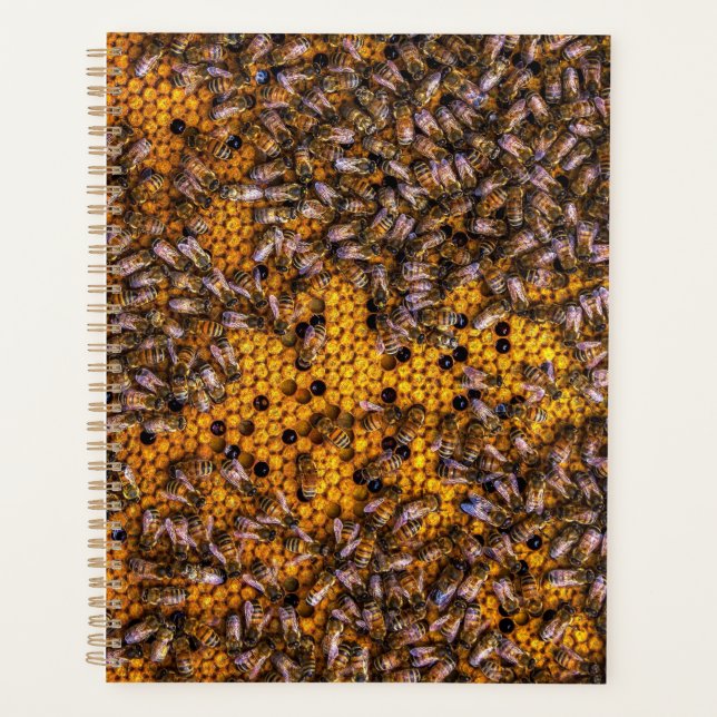HONEY BEES PLANER (Vorderseite)