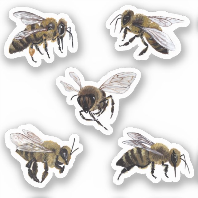 Honey Bees Vinyl Stickers Aufkleber (Vorderseite)