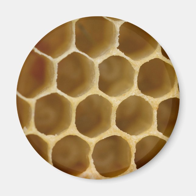 Honey Comb Magnet (Vorne)