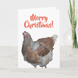 Honey das Blue Laced Wyandotte Huhn Frohe Weihnach Feiertagskarte