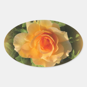 Honey Perfume Rose Stickers