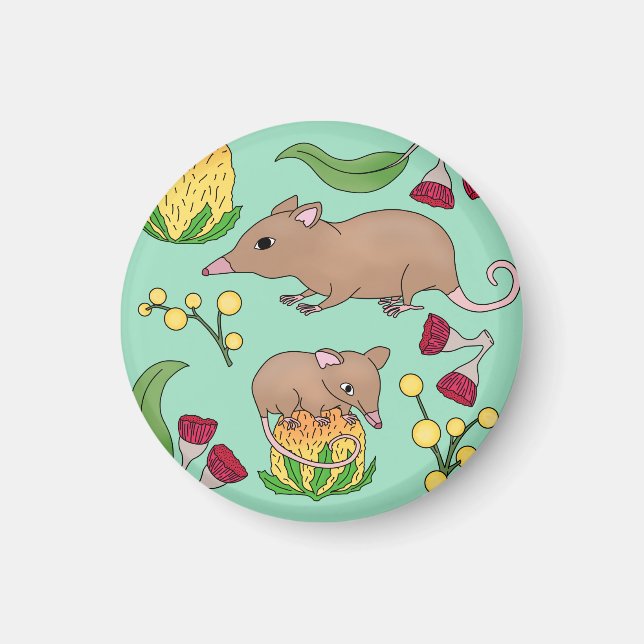 Honey Possum Magnet (Vorne)