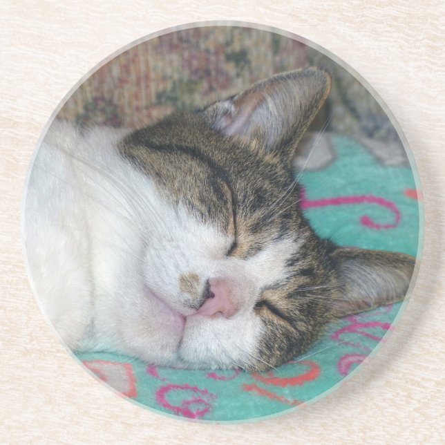 Honey Sleeping Getränkeuntersetzer (Vorne)