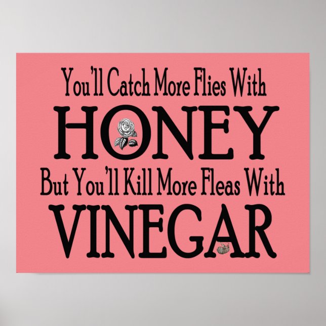 Honey & Vinegar Poster (Vorne)