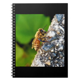 Honeybee 6.5x8.75 Spiral-Notebook Notizblock
