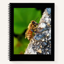 Honeybee 8.5x11 Notebook Notizbuch