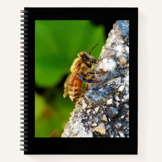 Honeybee 8.5x11 Notebook Notizbuch