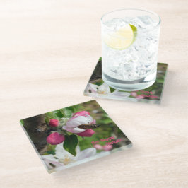 Honeybee & Apple Blossom | Fine Art Glass Coasters Glasuntersetzer