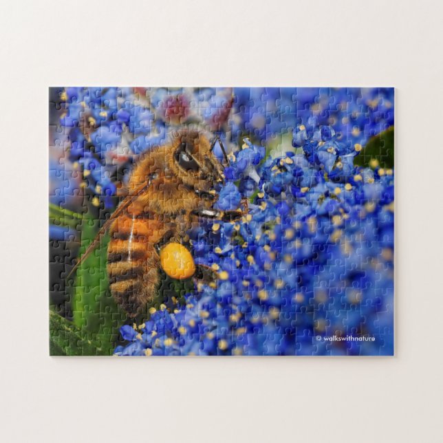 Honeybee: beschäftigt Kalifornien Lilac Pollinator Puzzle (Horizontal)