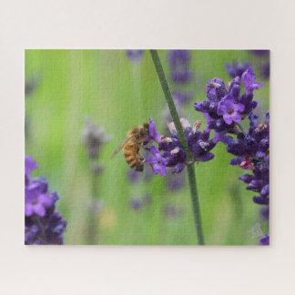 Honeybee Harvesting Lavender Blossom Puzzle