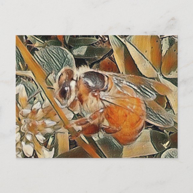 HONEYBEE IN CLOVER - POSTCARD POSTKARTE (Vorderseite)