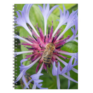 Honeybee Mandala Notizblock