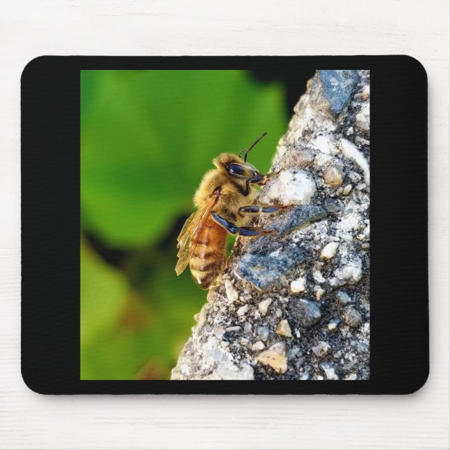 Honeybee Mousepad (Vorne)
