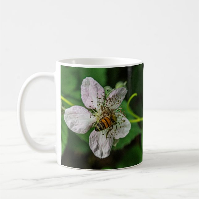 Honeybee Pollinates eine BlackBerry Blume Tasse (Links)