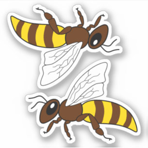 Honeybee Vinyl Stickers Aufkleber