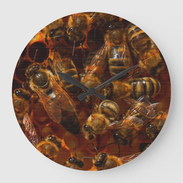 HONEYBEES 7 BELT BUCKLE GROßE WANDUHR (Vorderseite)