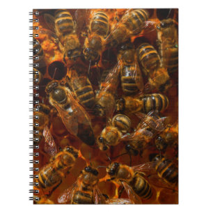 HONEYBEES 7 NOTIZBLOCK